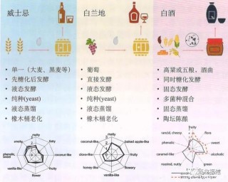 白酒在科學上的未解之謎：含量極少的生物活性成分，仍是世界難題