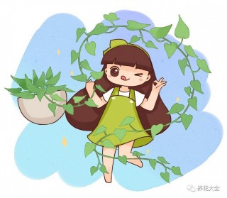綠蘿老是黃葉，換個位置養，馬上瘋長3米，葉子綠油油！
