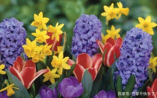 2月份，心海依在，前情未了，四大星座，舊愛回首，將再愛一次