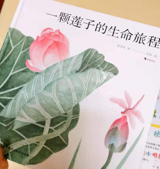 從一顆蓮子看生命的神奇，歎自然之力量
