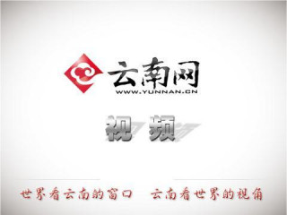 「“斷鼻家族”旅行日記二」我是出生在世界天堂普洱的“小北鼻”