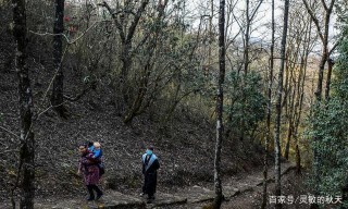 師宗君子山是徒步旅行的佳景點