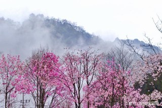 四川被忽略的一處景點，有大小溶洞七個，是國內4A級旅遊風景區