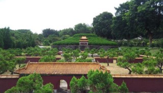 小漁村躍到全國一線城市，它只用了四十年，同樣是旅遊的好去處