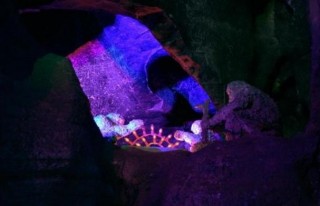 河北保定曲陽縣，四個值得一去的旅遊景點，去過的遊客都贊不絕口