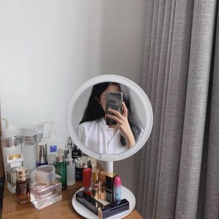 絕！100塊錢到底能淘到多少小眾居家好物？