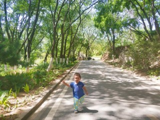 北京這個森林公園恢復營業，有山有水有動物園，風景賽江南