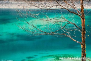 探訪震後疫後的九寨溝：則查窪溝景點恢複情況及散客旅行攻略