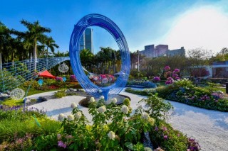 深圳“吸粉”公園，坐擁20萬平米花海，遊客：簡直“美得冒泡”！