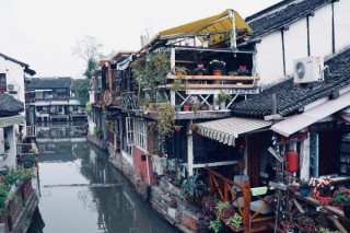 上海青浦區“藏著”一免費景區，318國道穿過，休閑娛樂美食俱全