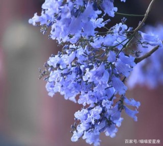 在愛情中，懂得拿捏的星座，手段高明，讓人癡迷