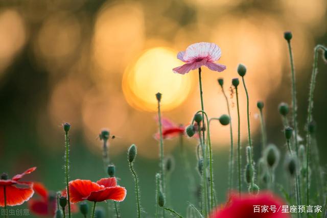 1月29日 天秤 天蠍座 射手座 每日的星座運勢查詢 小編的世界 1月29日 天秤 天蠍座 射手座 每日的星座運勢查詢 小編的世界
